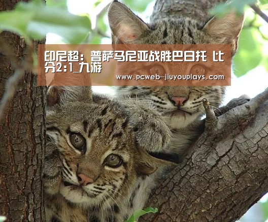 九游官方网站