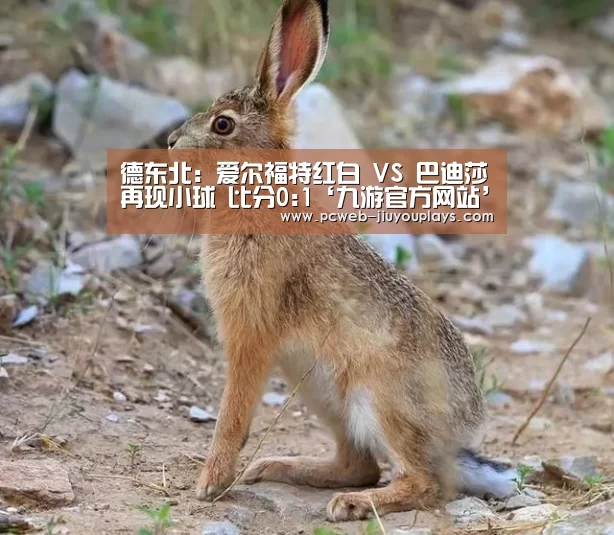 九游在线