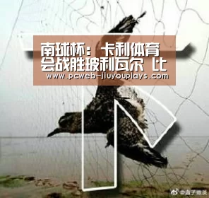 南球杯: 卡利体育会战胜玻利瓦尔 比分1:2-九游首页(图1) 九游在线
