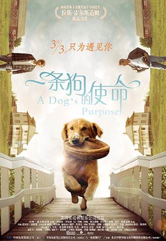 九游网页版